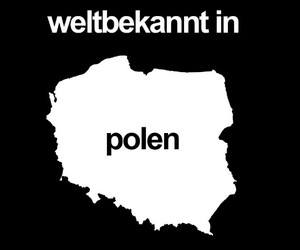 Polnische Musiker, die ihr kennen solltet