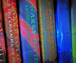 Studie: Harry Potter ist einfach alles