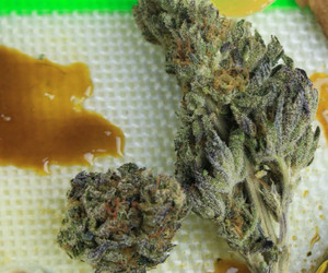 Cannabis-Koch-Channels auf YouTube