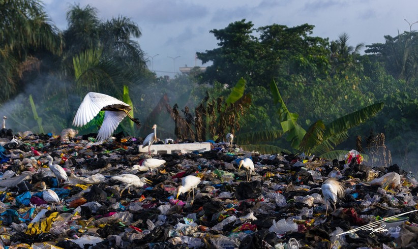 Meine Plastik-Frustration