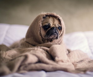 Studien fürs ego gegen trübe Winterlaune 