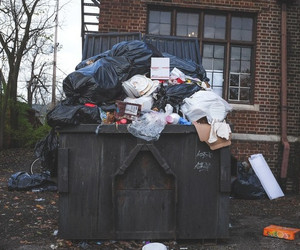 Lebensmittel vor der Tonne retten