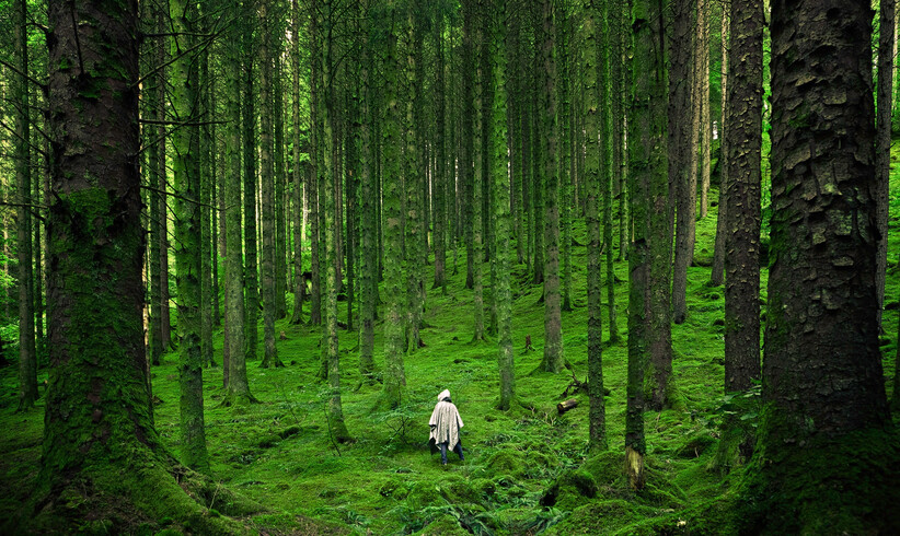 Was macht eigentlich ein Waldbademeister?