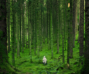 Was macht eigentlich ein Waldbademeister?