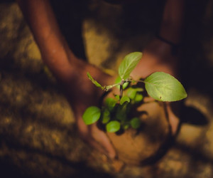 Vom YouTube-Star zum Klimaheld