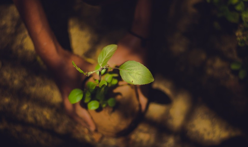 Vom YouTube-Star zum Klimaheld