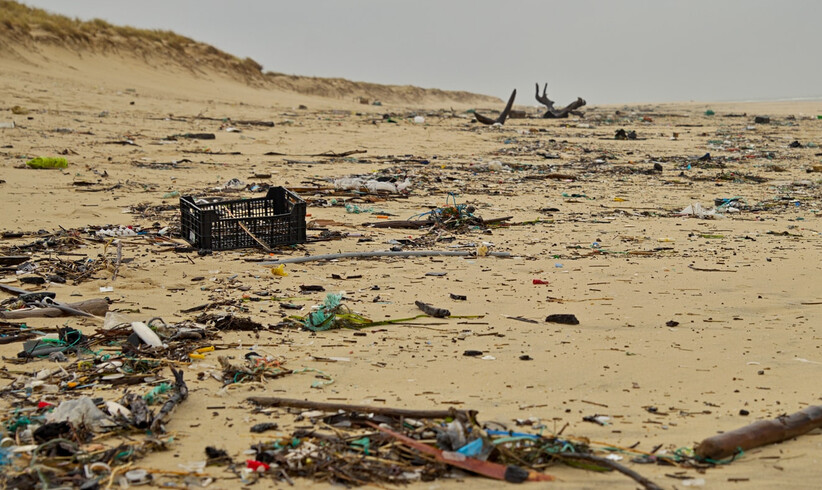 Erstaunliche Fundstücke aus 250 Kilo Strandmüll