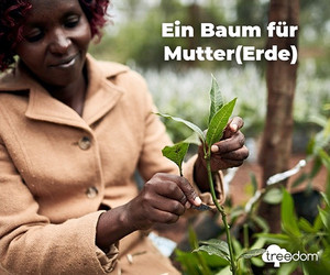 Zum Muttertag ein Bäumchen von Treedom