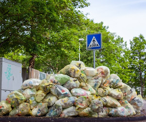 Mehr Plastikmüll in der Corona-Krise