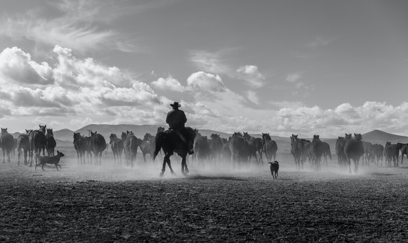 Die besten Italowestern