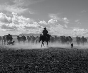 Die besten Italowestern