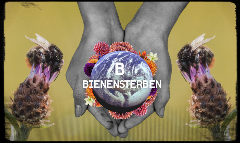 B wie Bienensterben