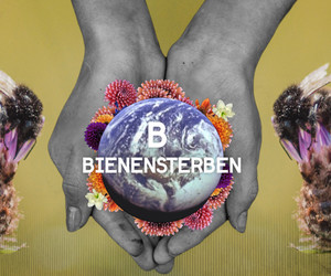 B wie Bienensterben