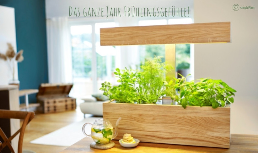 Der smartGarten von simplePlant