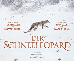 Der Schneeleopard