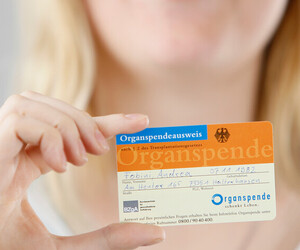 Aufklärung und Entscheidung zur Organspende