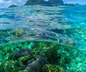 Wie der Klimawandel unsere Meere gefährdet