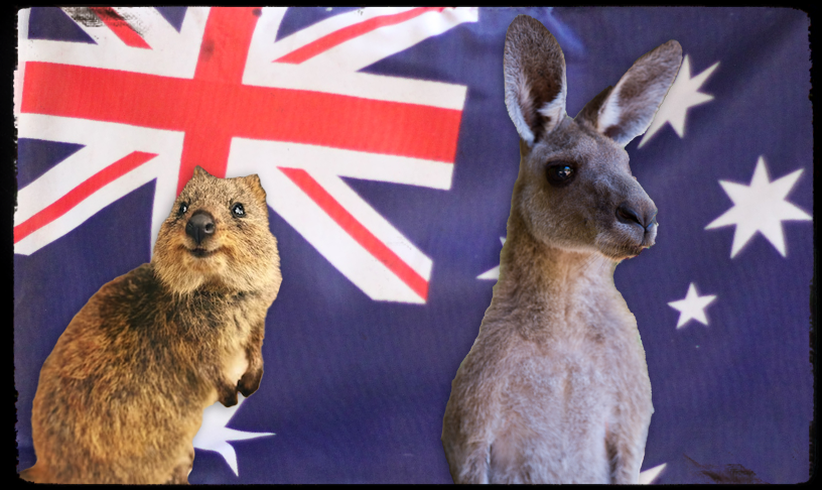 Spannende Fakten über Australien 