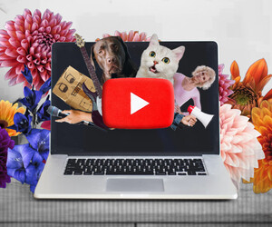 Die meistgesehenen YouTube-Videos 2022