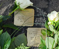 Mit den Gedanken stolpern