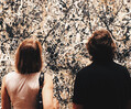 Die wertvollsten Kunstwerke der Welt