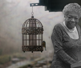 Wer war Maya Angelou?