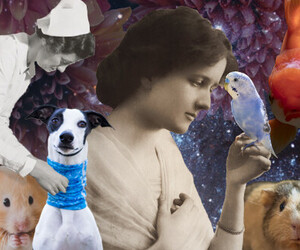 Geballtes Wissen zum Thema Haustiere