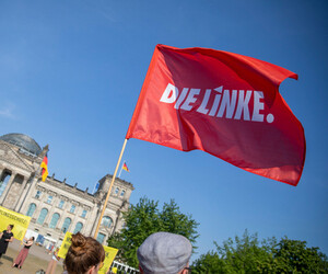 Die Linke in der Krise