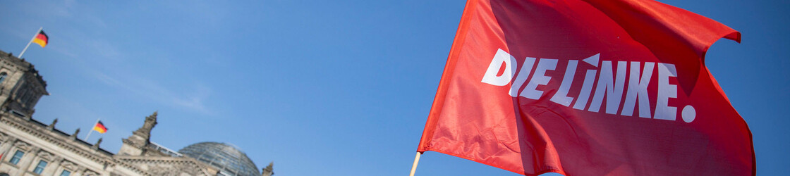 Die Linke in der Krise