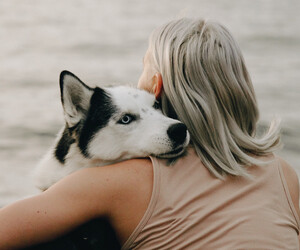 Wenn aus Hund und Mensch ein Therapieteam wird