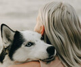 Warum wir Tiere manchmal mehr lieben als Menschen