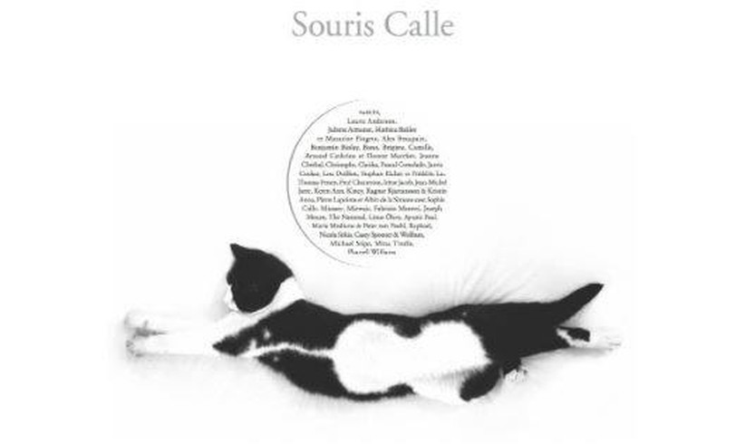 Künstlerin komponiert Album für tote Katze