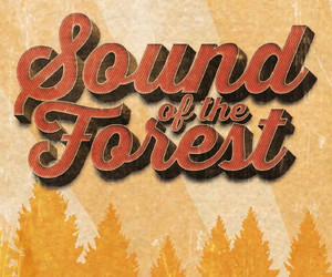 Sound of the Forest 2019