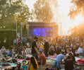 Golden Leaves Festival 2025