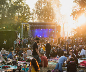 Golden Leaves Festival 2025