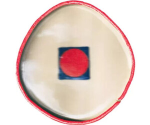 Philine Sonny: Virgin Lake