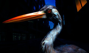 Antony Szmierek: Decoding Birdsong