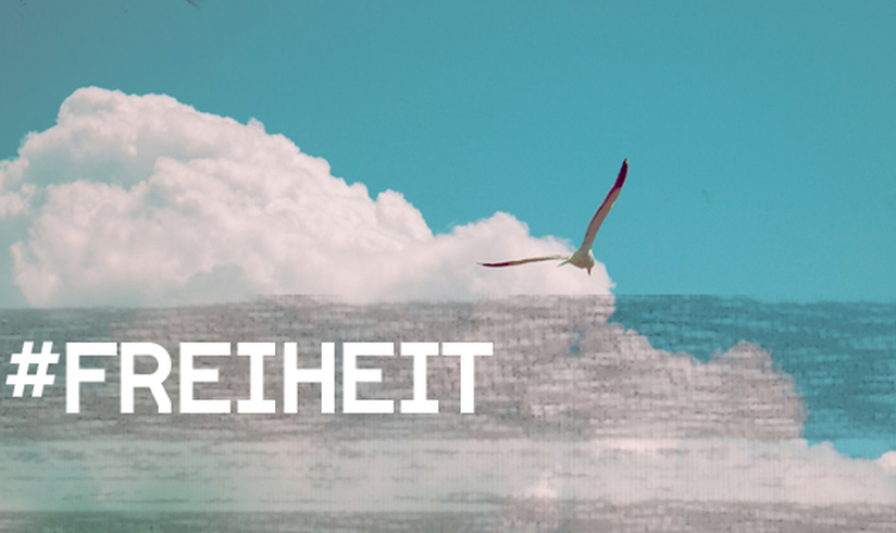 Playlist: Songs zum Thema Freiheit | egoFM