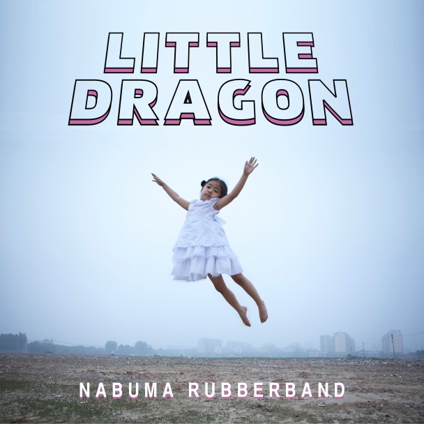 Little dragon cover
