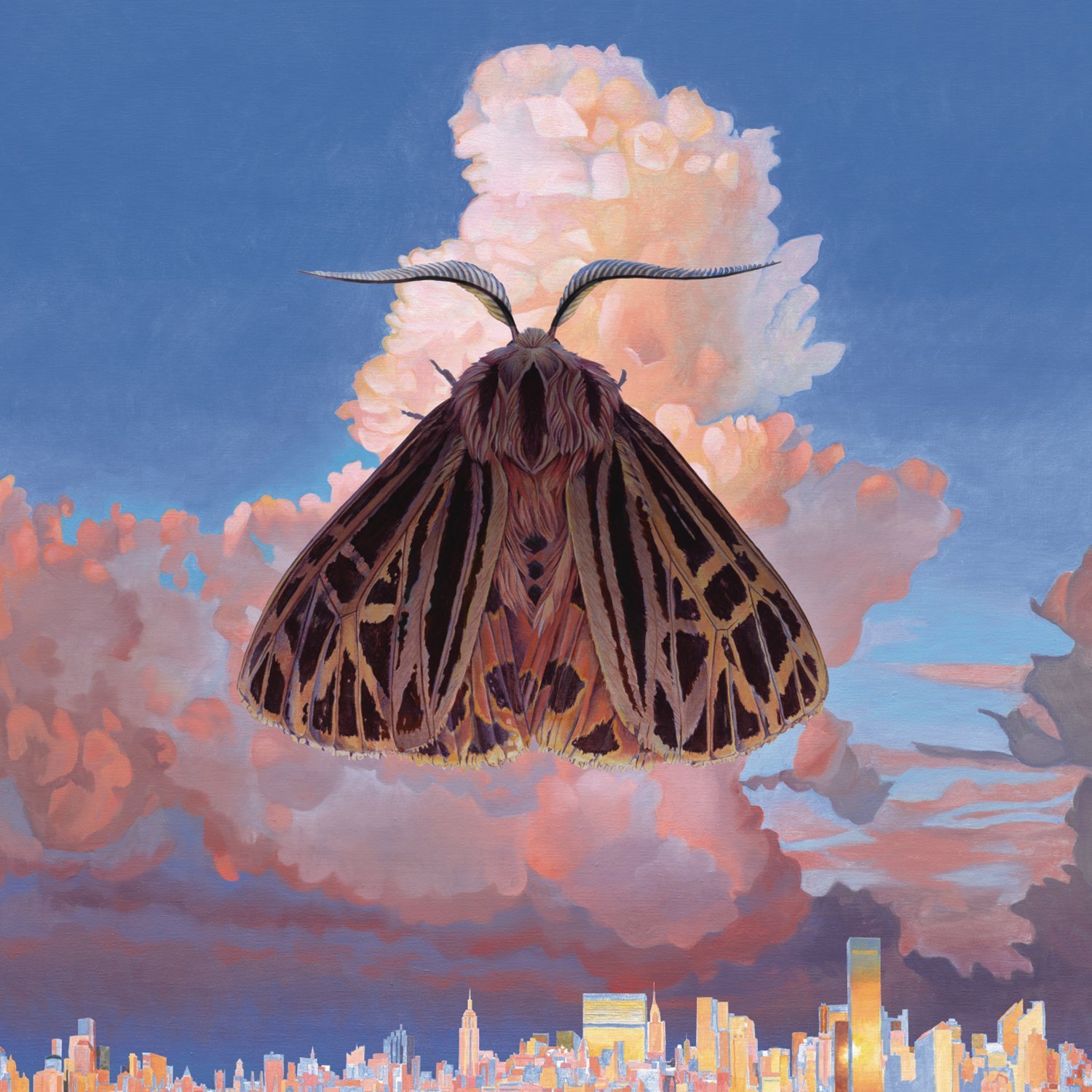 chairlift moth cover