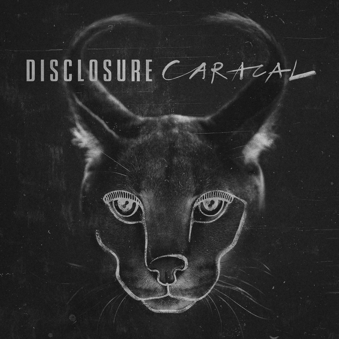 disclosure caracal cover
