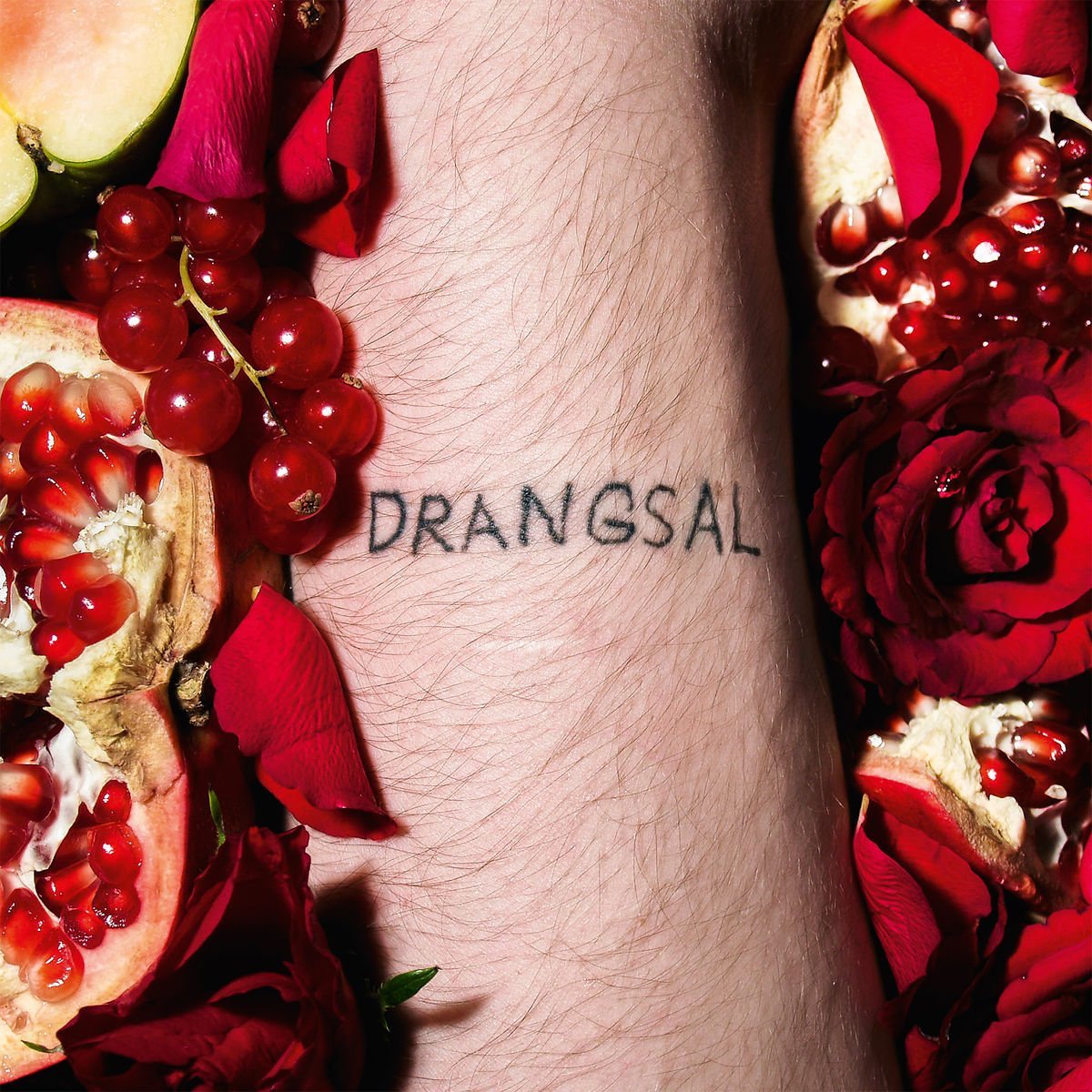 drangsal harieschaim cover