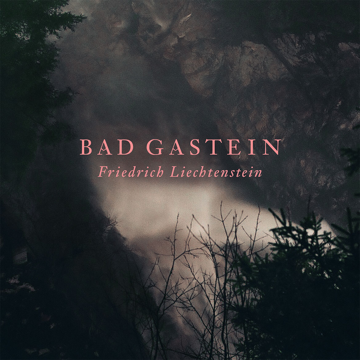 friedrichliechtenstein-badgastein cover heavyrecordings
