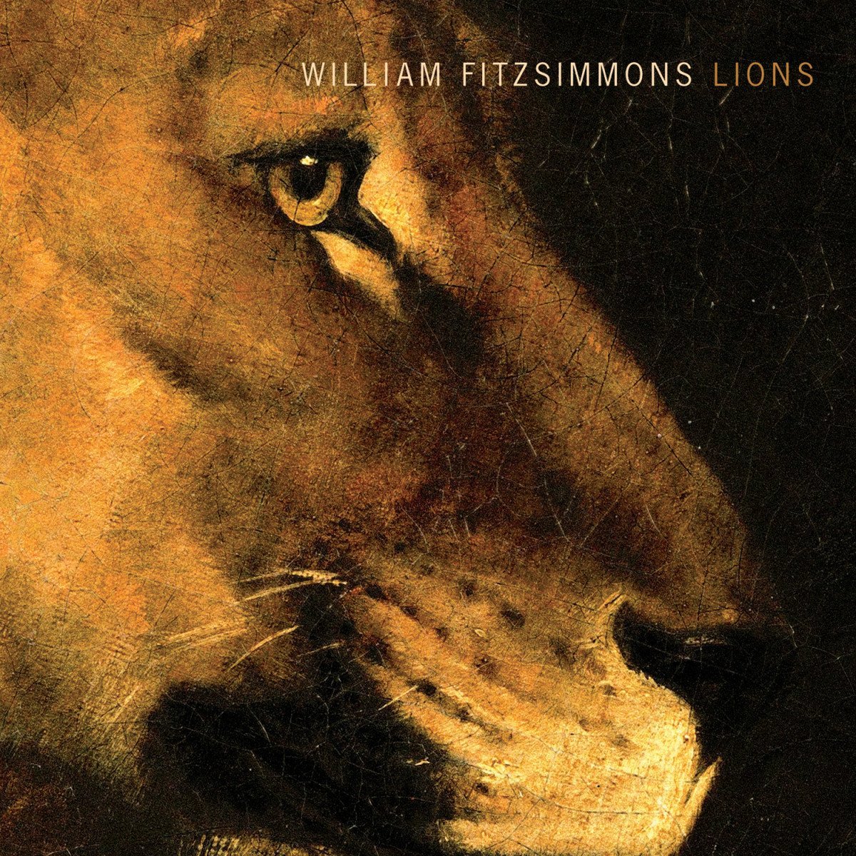 williamfitzsimmons lions cover amzn