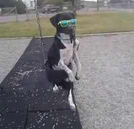 yo