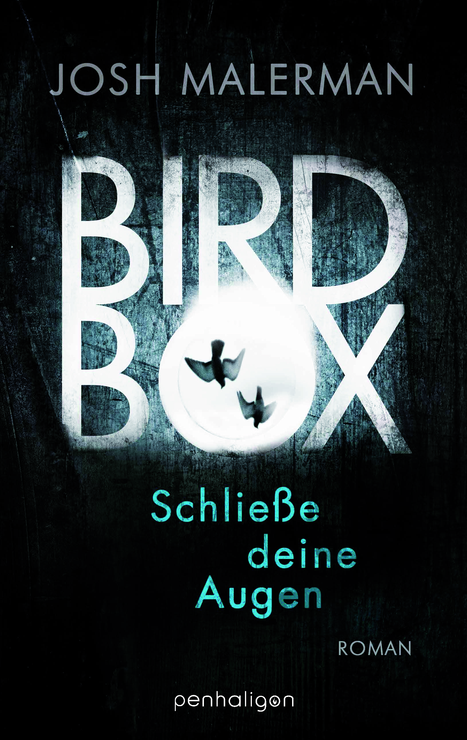 birdbox cover
