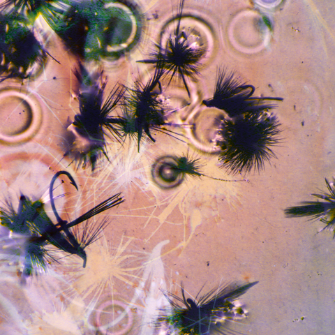 BIBIO_thegreen_ep_cover.jpg