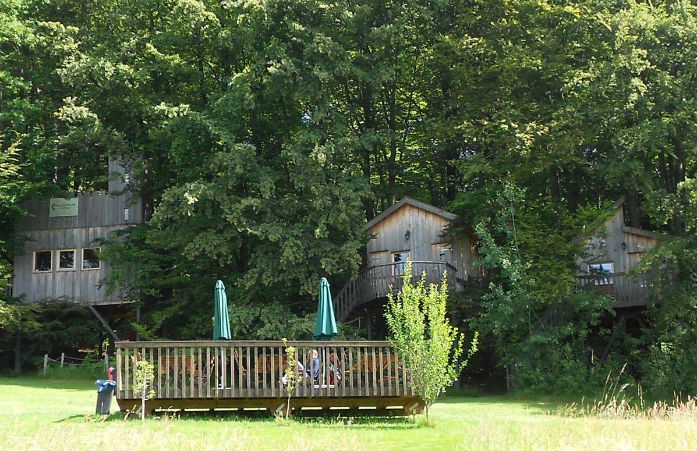 Baumhaushotel