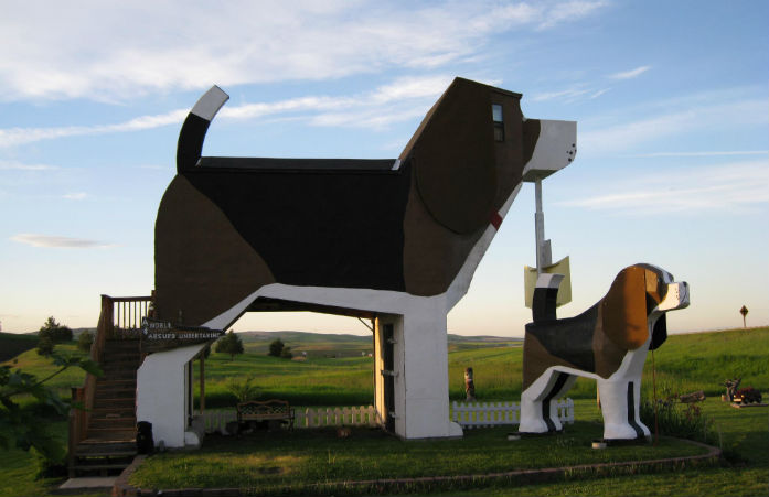 Dog Park Inn 1