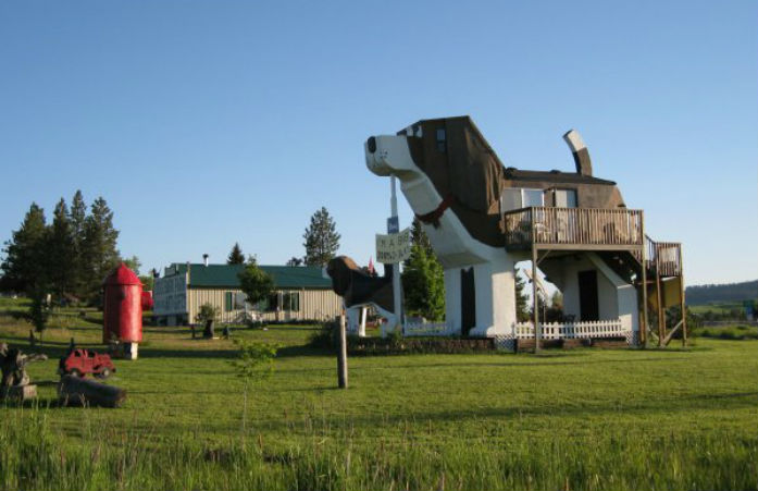 Dog Park Inn 3